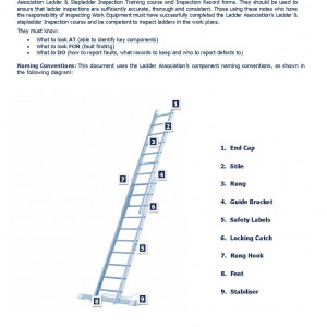 25 - Leaning Ladder and Stepladder Inspection Record Notes